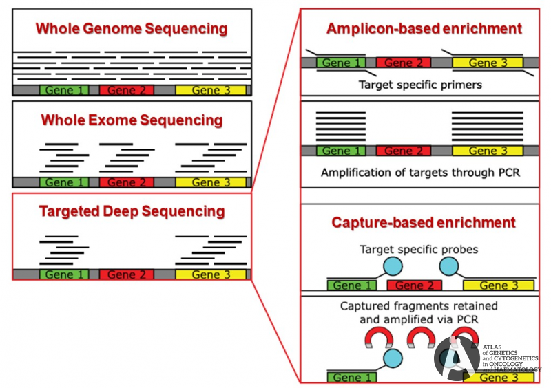 Session 2: Expanding Frontiers of Genomic Medicine Enabled by  Cost-Effective Next Generation Sequencing