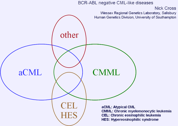 Diagnóstico hematológico e molecular das neoplasias mieloproliferativas  crônicas BCR-ABL negativas - Revista RBAC