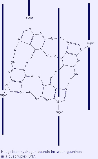 Figure 12.2