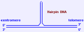 Figure 10.2